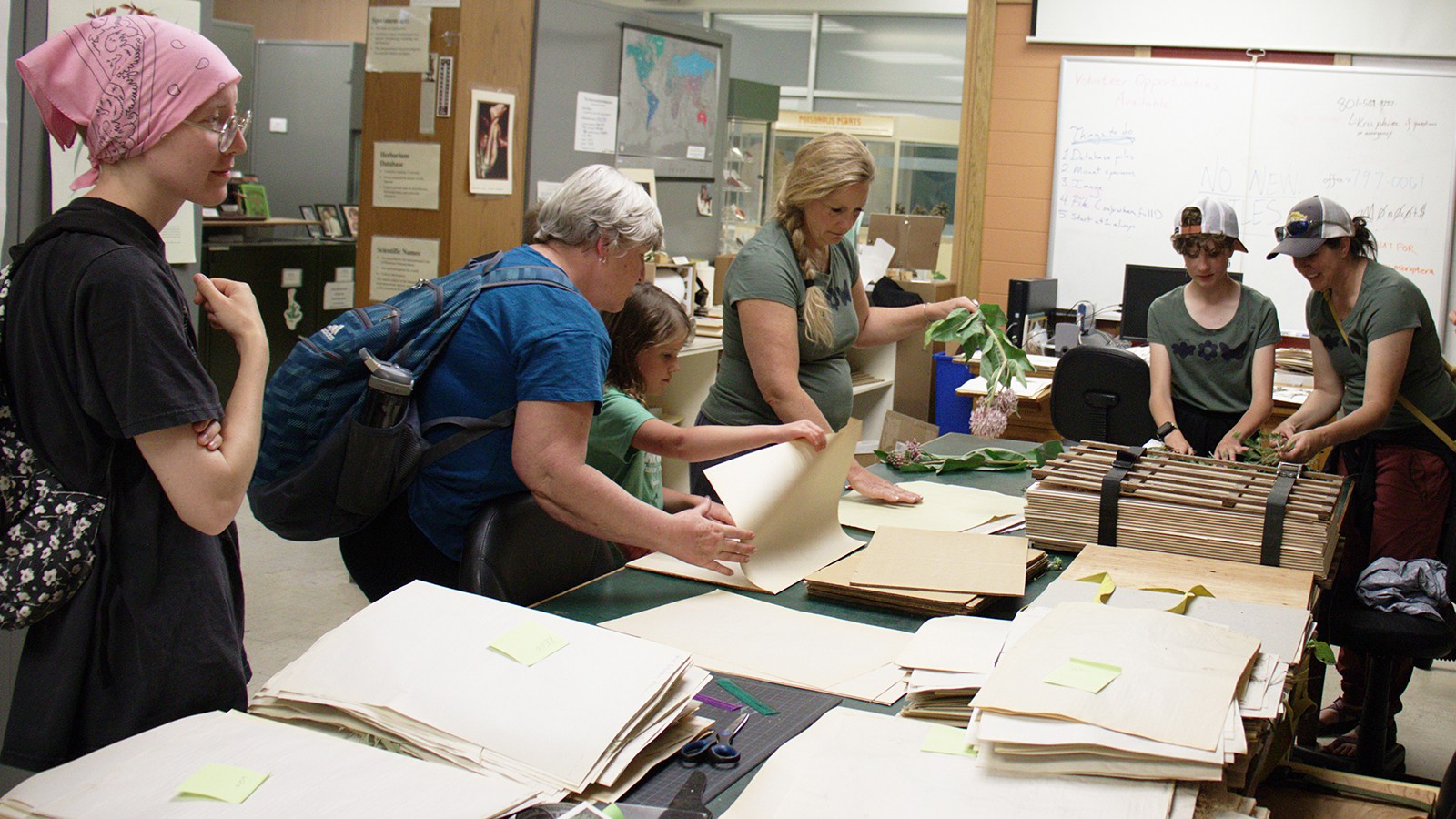 Visitors at USU’s Intermountain Herbarium prepare plant specimens