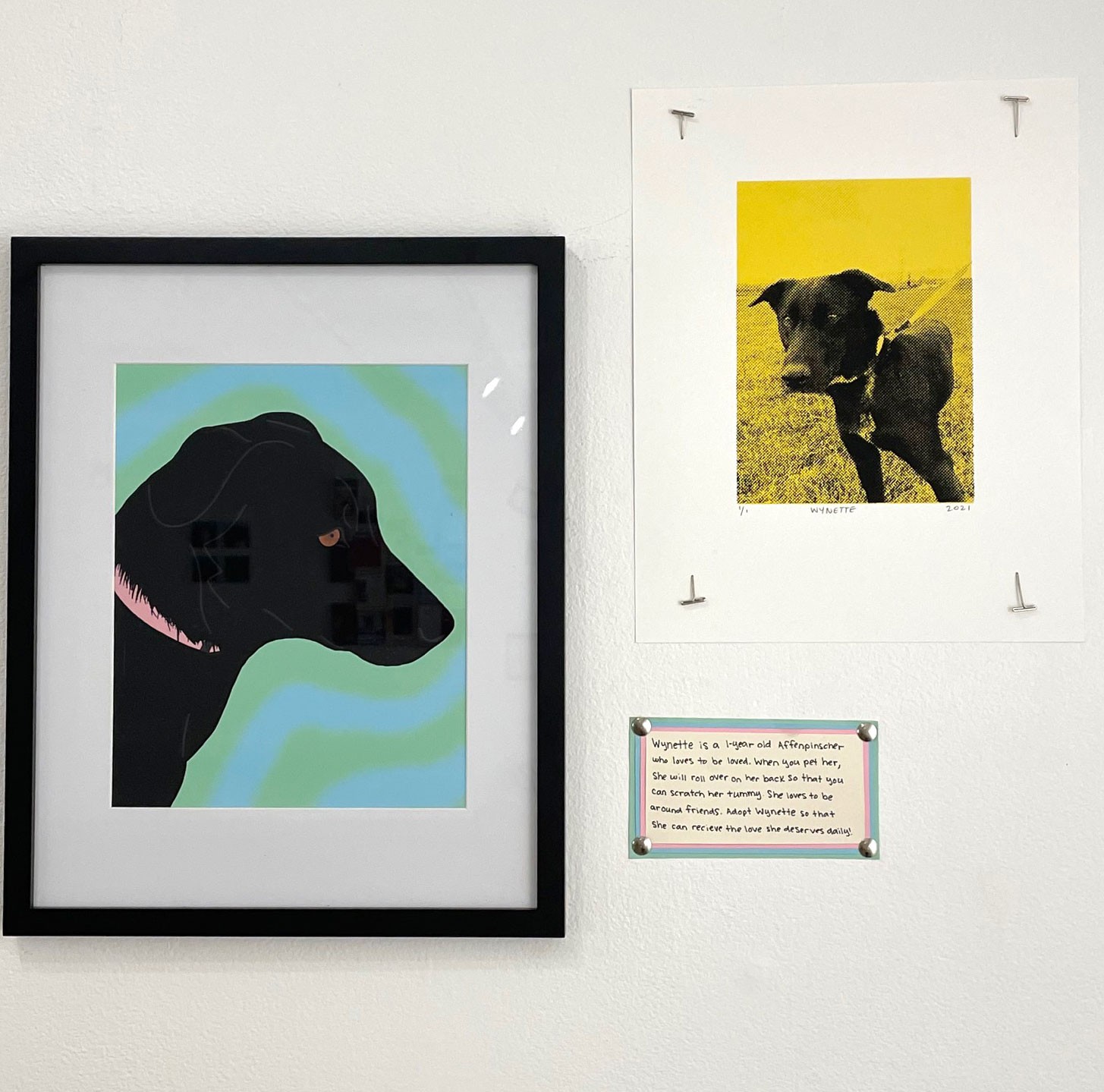 A student project with pictures of dogs hangs in a gallery.