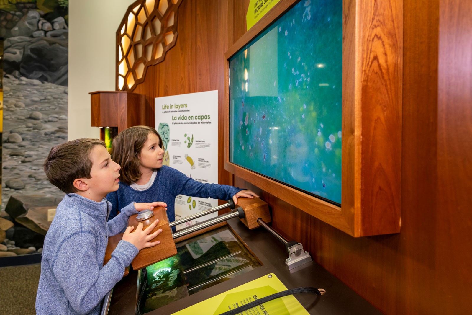 Children interacting with a microscope museum exhibit.