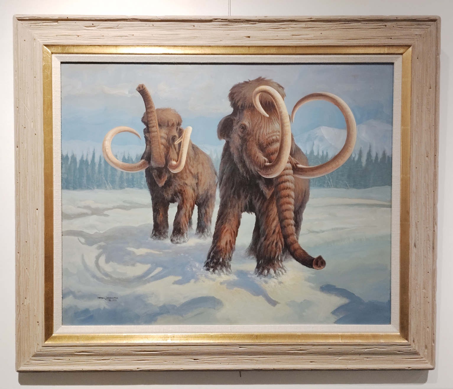 A painting of wooly mammoths.