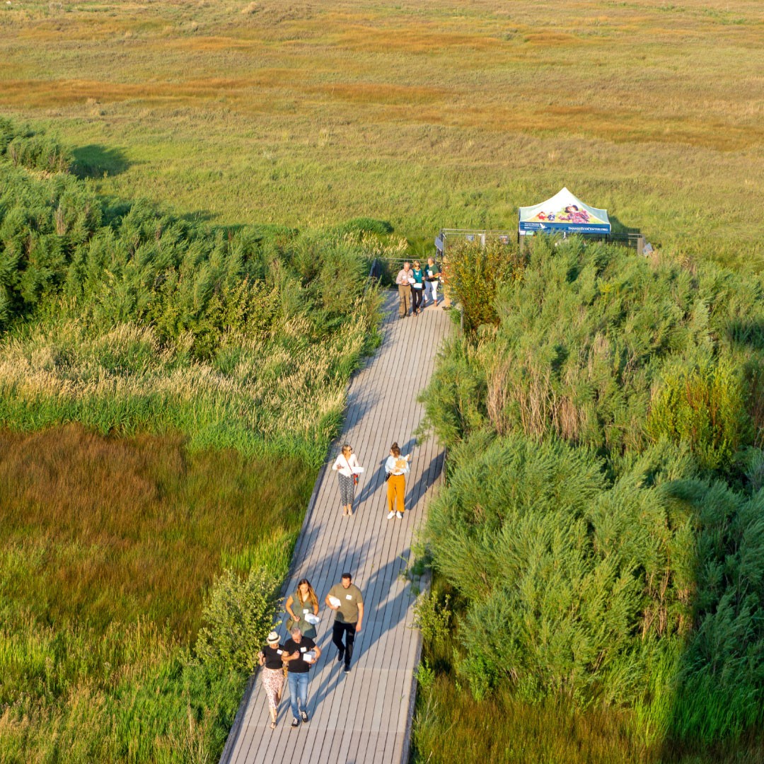 An aerial view of the boardwalk at Swaner EcoPreserve during a wine tasting.