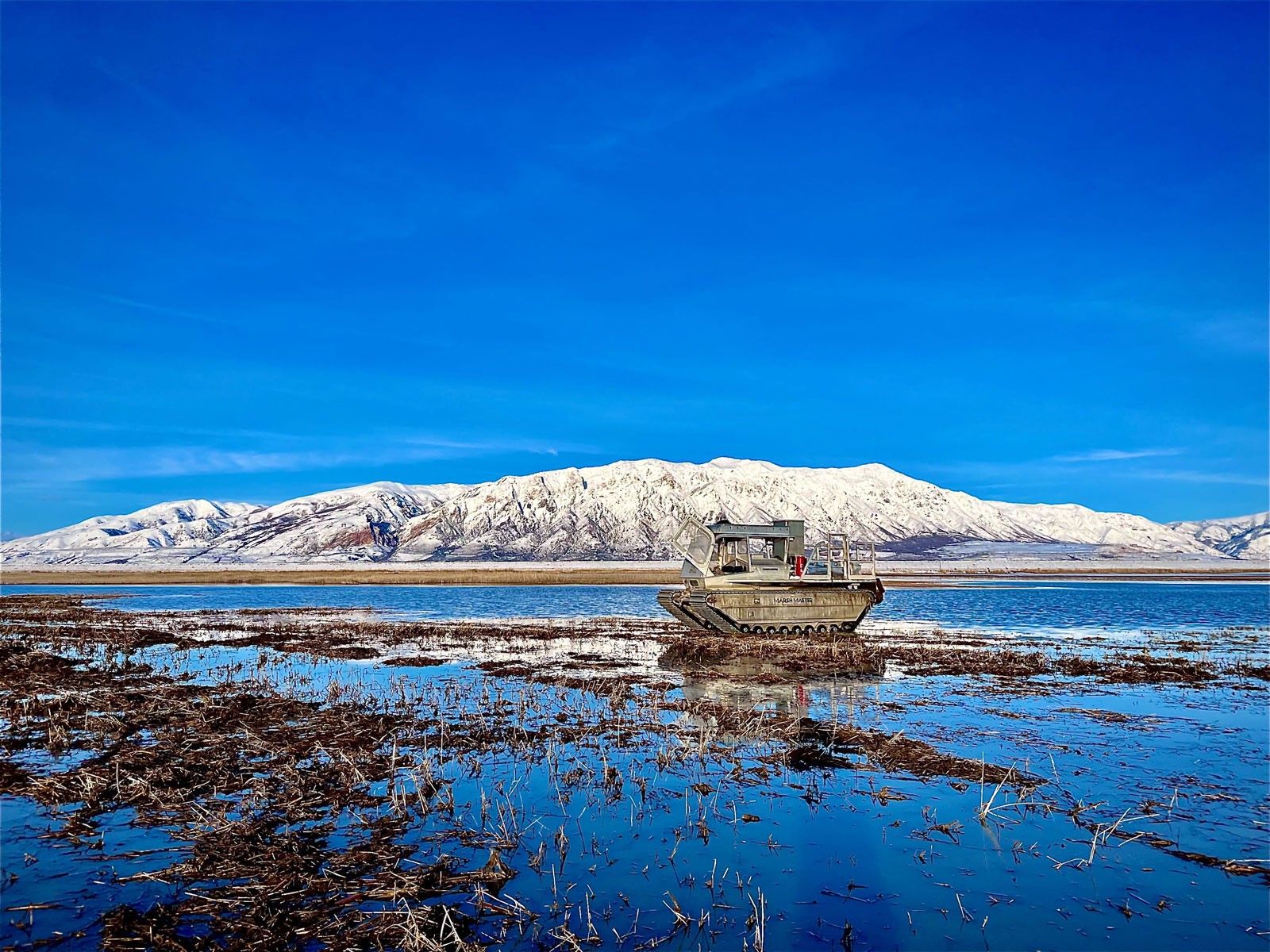 A machine in marshland.