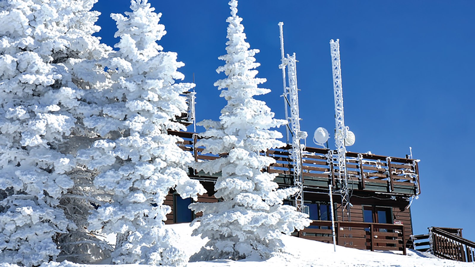 Uintah Basin Researchers Awarded NSF Grant to Study Mercury and its Impact on Ecosystems and Health | Bingham Research