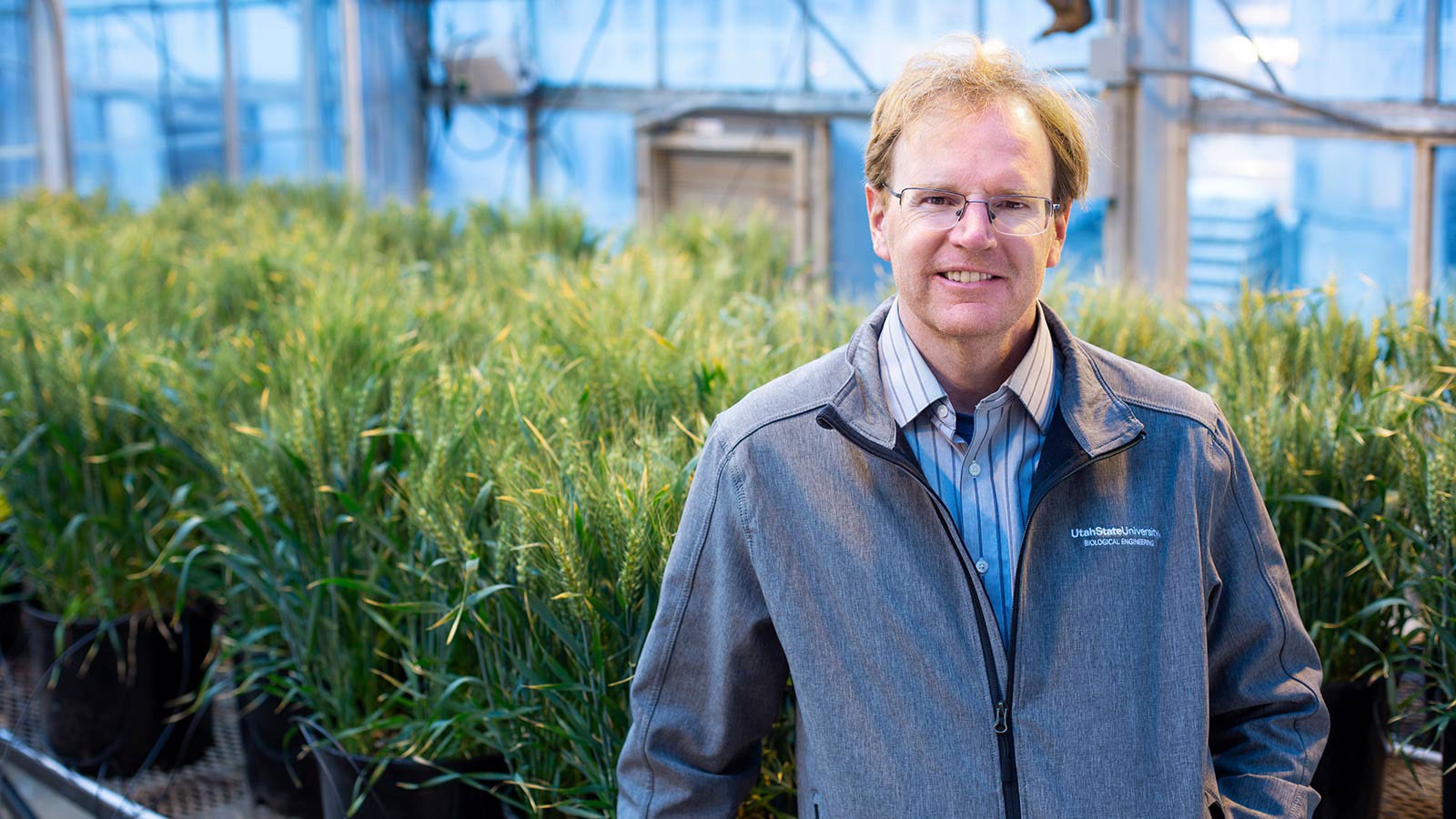 Professor of biological engineering David Britt.