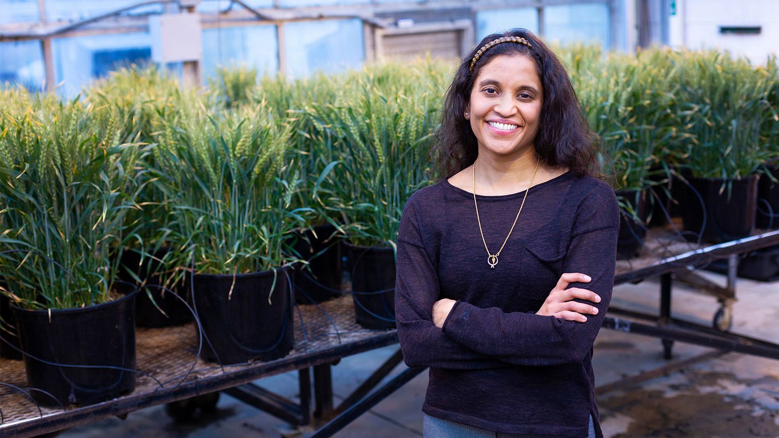 Associate professor of biological engineering Elizabeth Vargis.