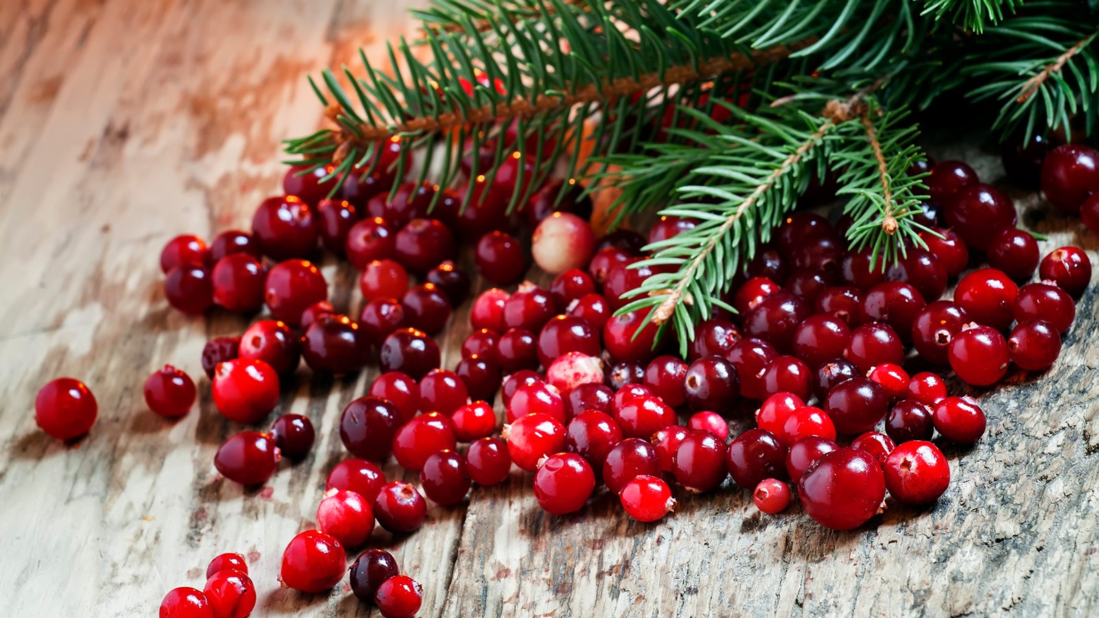 Ask an Expert - Cranberries: A Healthy Holiday Choice