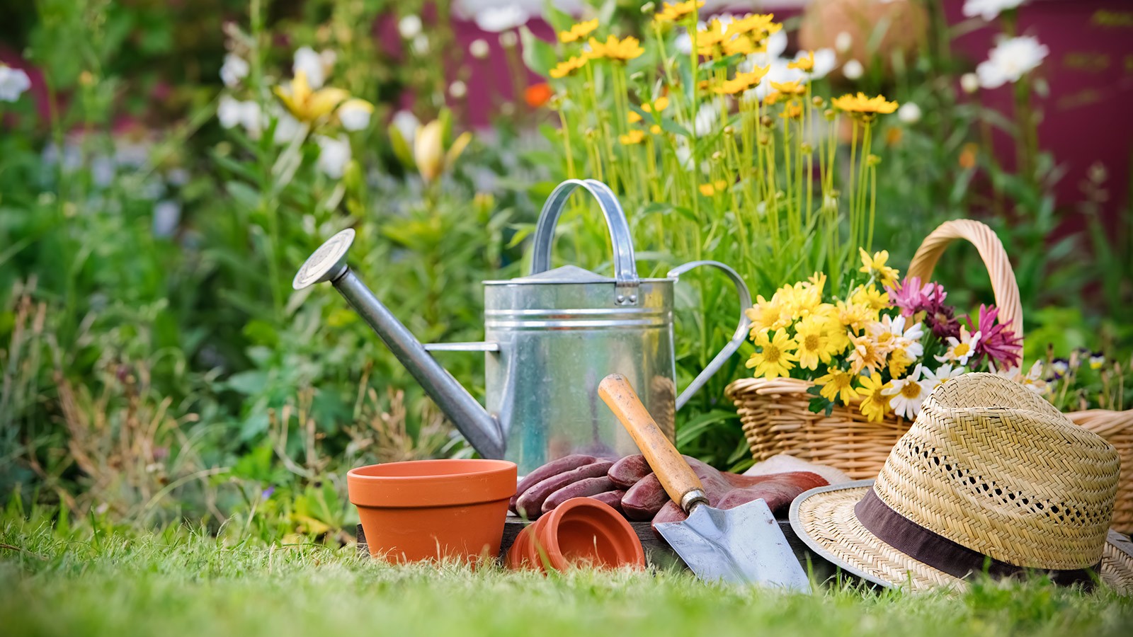 Garden tools and flowers.