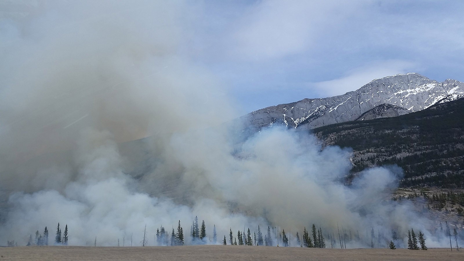 A forest in Jasper National Park with heavy smoke from fire.