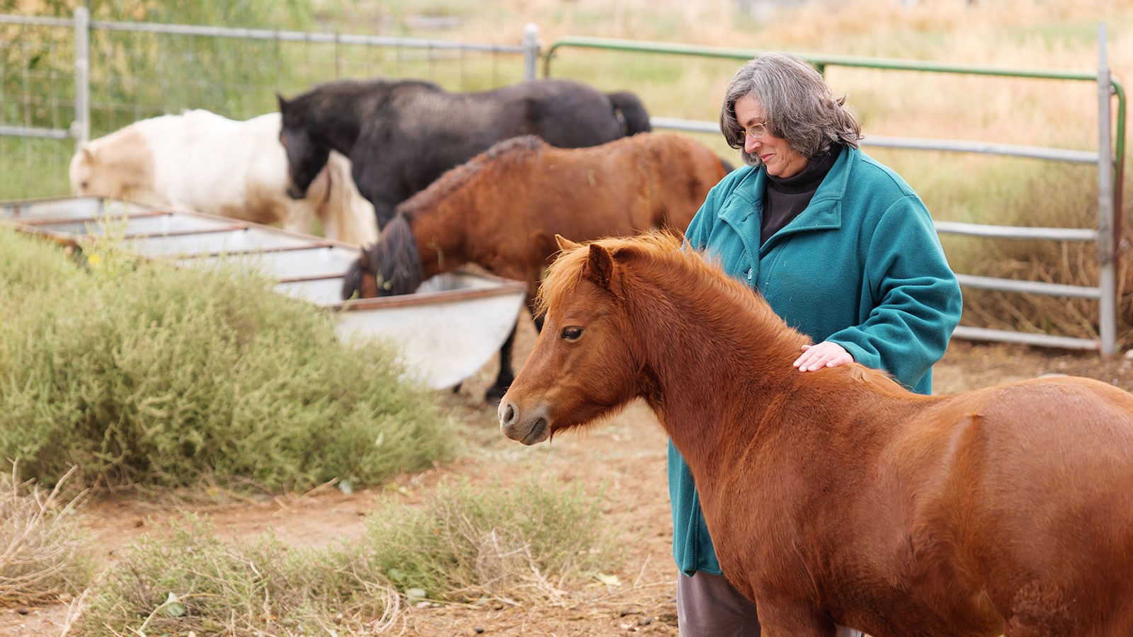 Lesa Minnick with her horses.