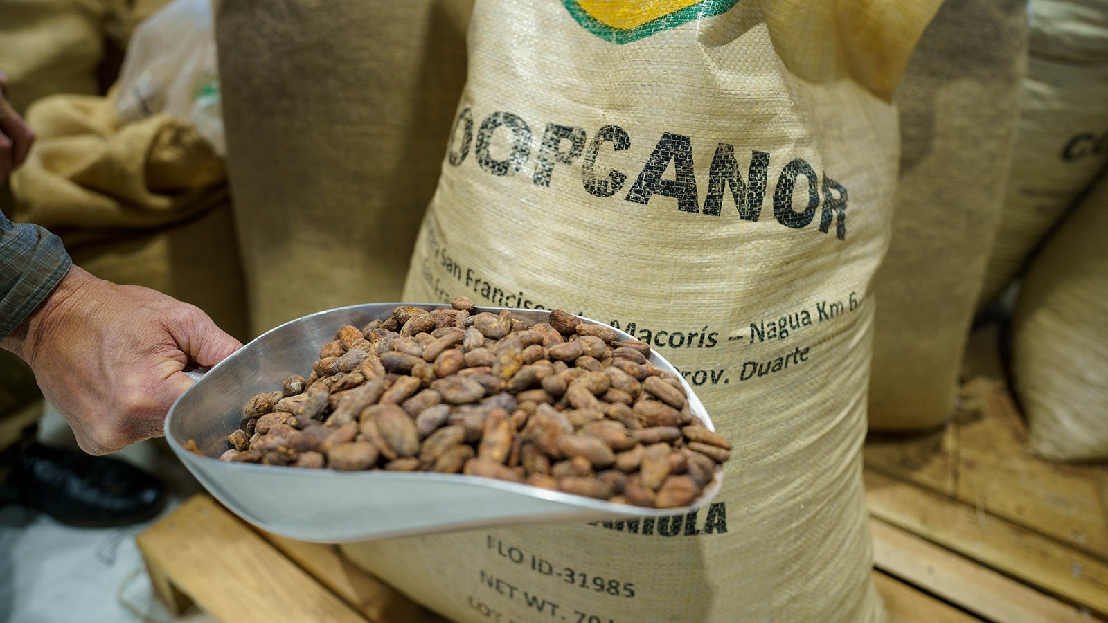 Cacao from Twenty Degrees, a sustainable cocoa bean supplier.