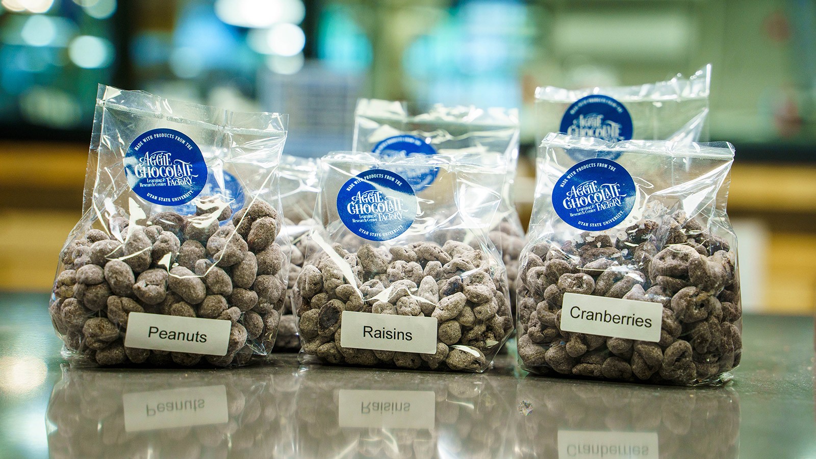 Chocolate covered peanuts, raisins and cranberries from the Aggie Chocolate Factory.