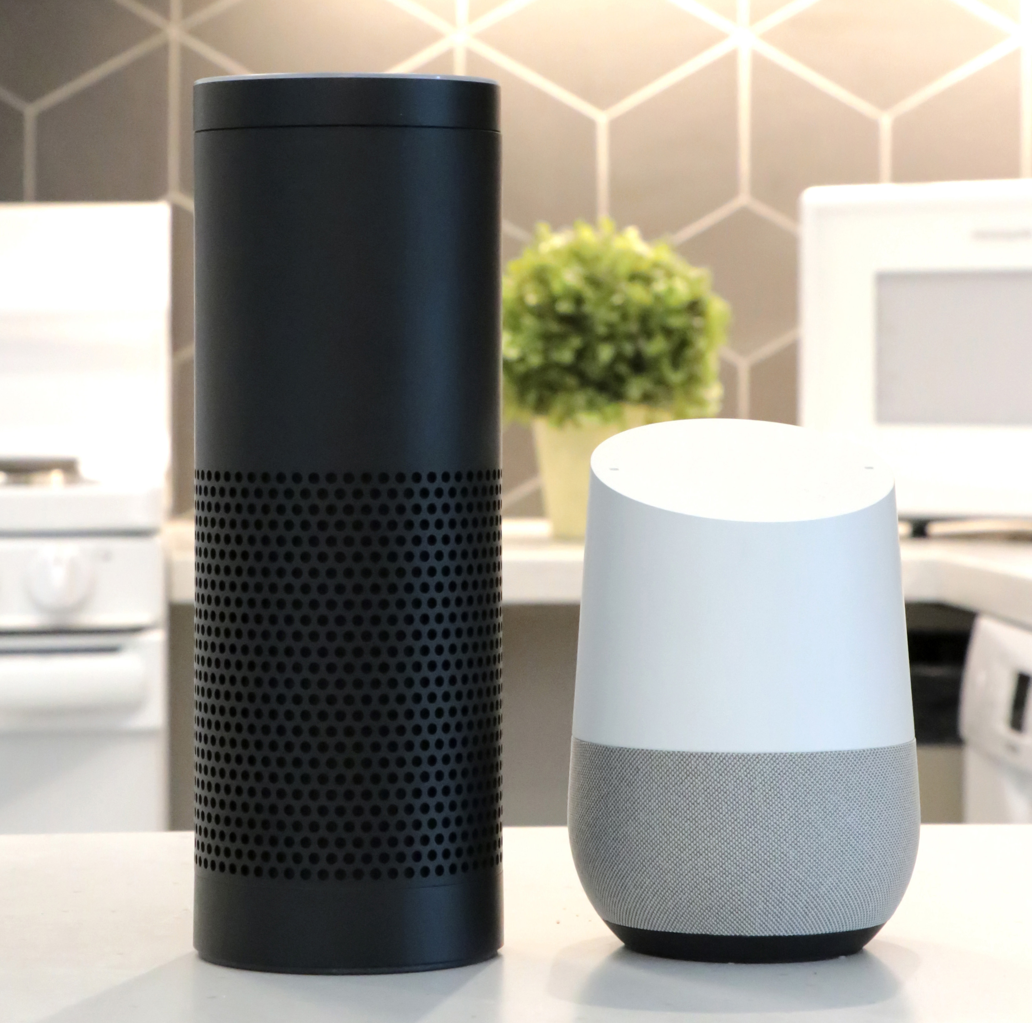 echo and google home