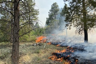 brush fire