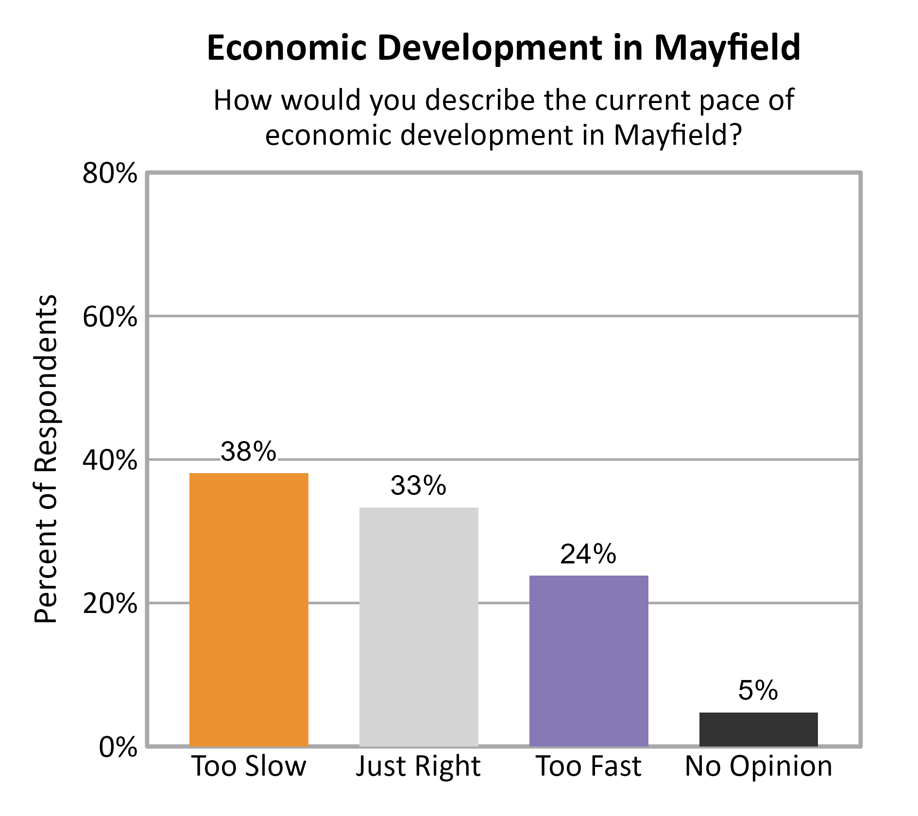 Bar Chart. Title: Economic Development in Mayfield. Subtitle: How would you describe the current pace of economic development in Mayfield? Data — Too Slow: 38% of respondents; Just Right: 33% of respondents; Too Fast: 24% of respondents; No Opinion: 5% of respondents