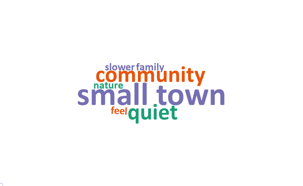 A word cloud of some of the most popular words and phrases about what people value living in Mayfield includes: small town, community, quiet, family, feel, nature, and slower.