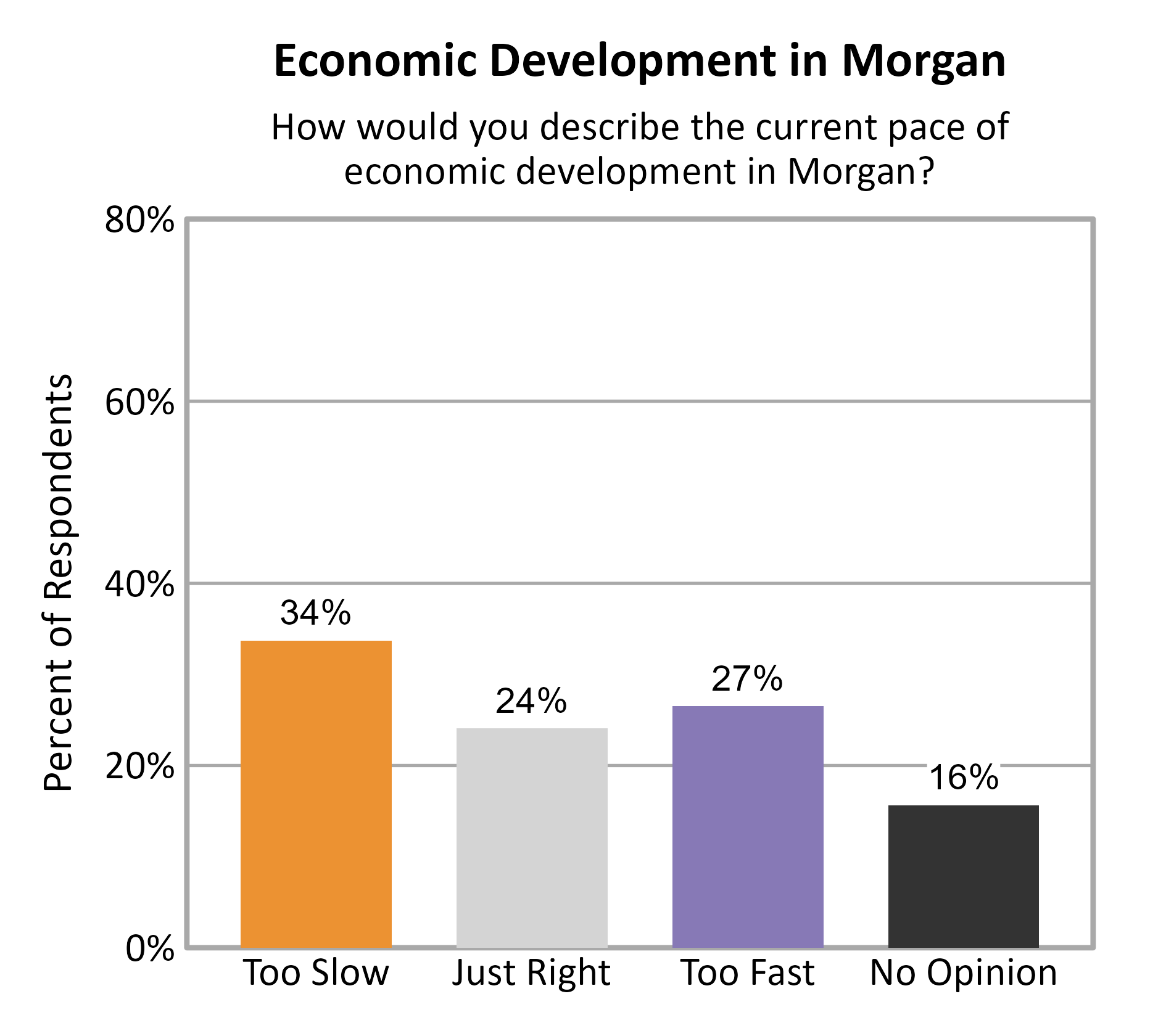 Bar Chart. Title: Economic Development in Morgan. Subtitle: How would you describe the current pace of economic development in Morgan? Data — Too Slow: 34% of respondents; Just Right: 24% of respondents; Too Fast: 27% of respondents; No Opinion: 16% of respondents