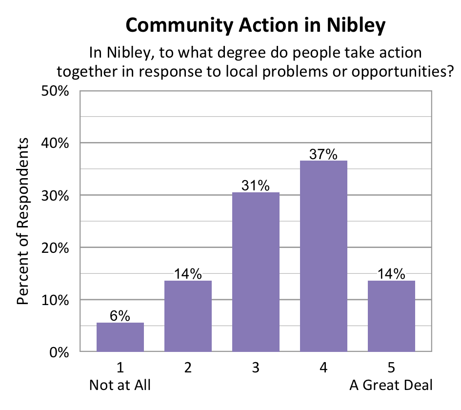 Bar chart. Title: Community Action in Nibley. Subtitle: In Nibley, to what degree do people take action together in response to local problems or opportunities? Data - 1 Not at All: 6% of respondents; 2: 14% of respondents; 3: 31% of respondents; 4: 37% of respondents; 5 A Great Deal: 14% of respondents