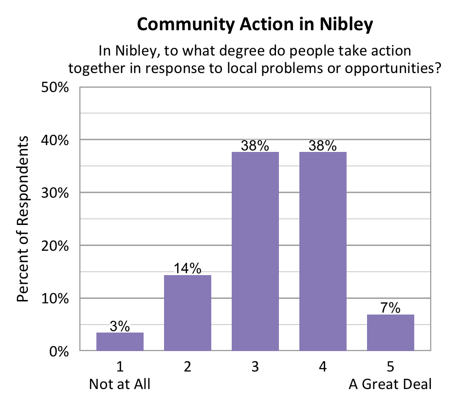 Bar chart. Title: Community Action in Nibley. Subtitle: In Nibley, to what degree do people take action together in response to local problems or opportunities? Data - 1 Not at All: 3% of respondents; 2: 14% of respondents; 3: 38% of respondents; 4: 38% of respondents; 5 A Great Deal: 7% of respondents