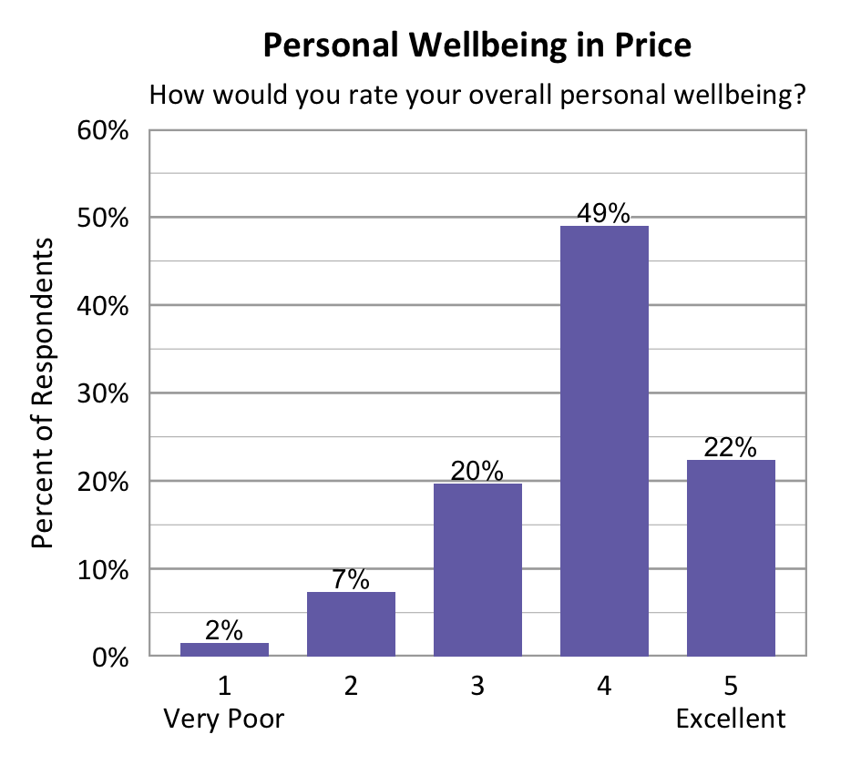 Bar chart. Title: Personal Wellbeing in Price. Subtitle: How would you rate your overall personal wellbeing? Data - 1 Very Poor: 2% of respondents; 2: 7% of respondents; 3: 20% of respondents; 4: 49% of respondents; 5 Excellent: 22% of respondents