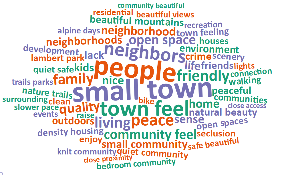 A word cloud of most common words about what respondents value most in their city