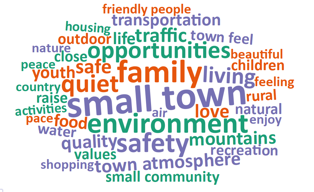 A word cloud of most common words about what respondents value most in their city