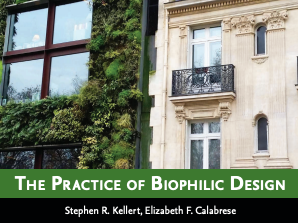 The Practice of Biophilic design thumbnail