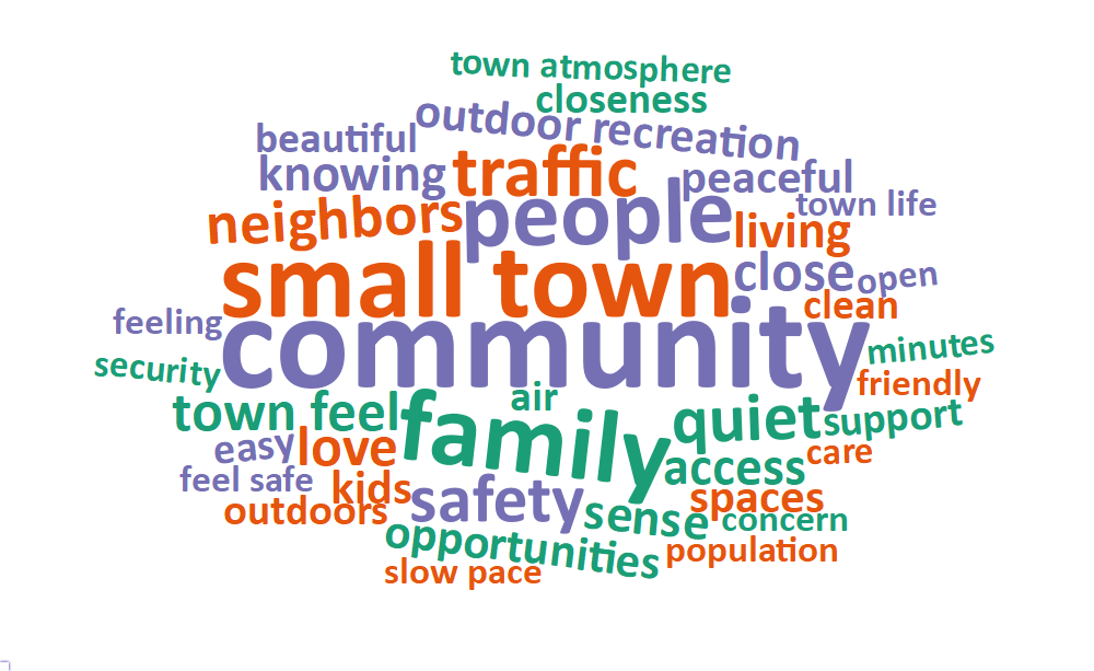 A word cloud of most common words about what respondents value most in their city