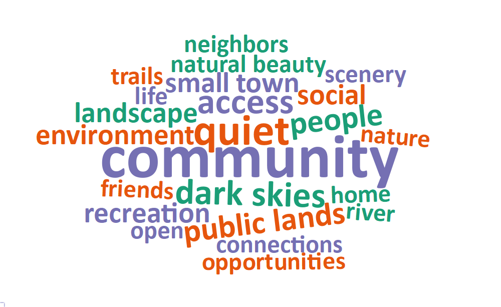 A word cloud of most common words about what respondents value most in their city