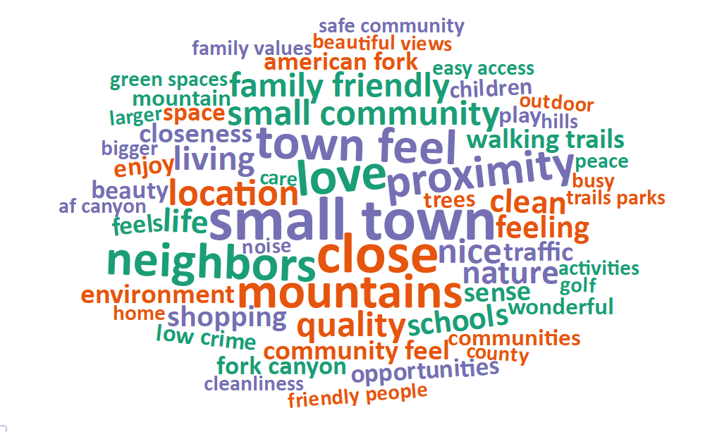 A word cloud of most common words about what respondents value most in their city