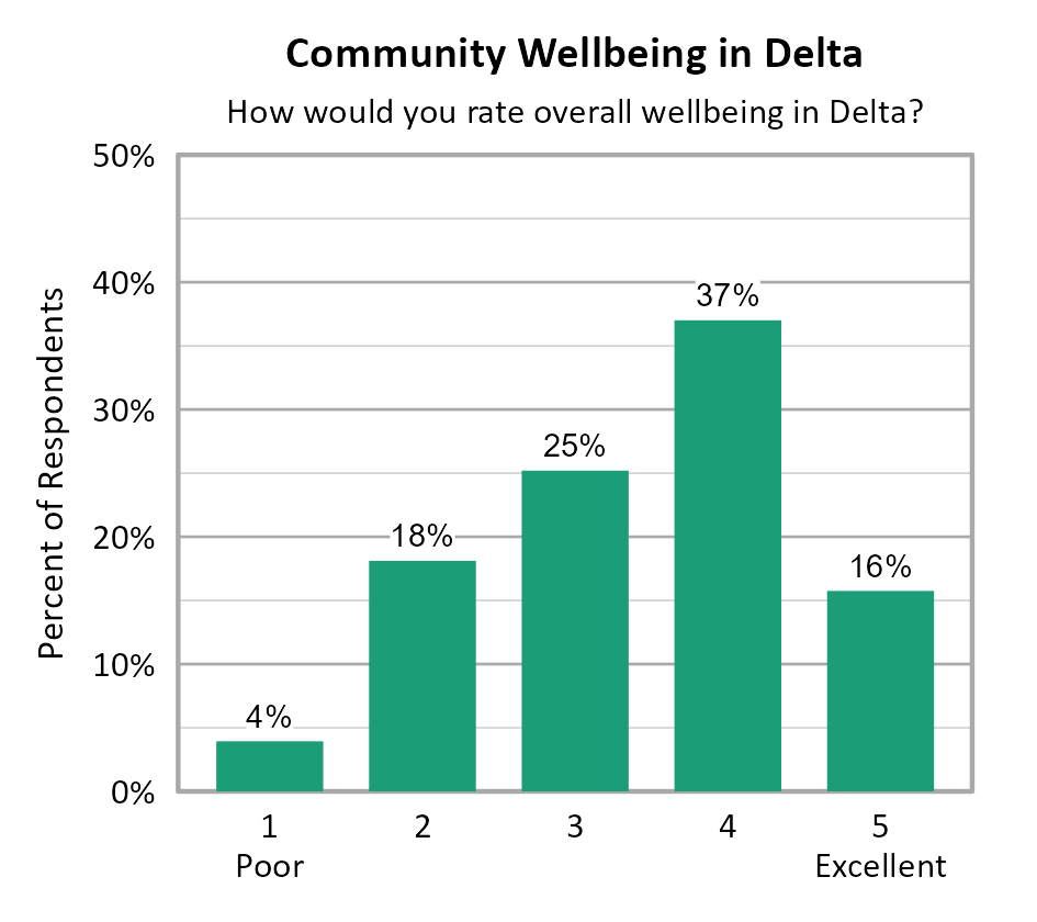 Bar Chart. Title: Community Wellbeing in Delta. Subtitle: How would you rate overall wellbeing in Delta? Data — 1 Poor: 4% of respondents; 2: 18% of respondents; 3: 25% of respondents; 4: 37% of respondents; 5 Excellent: 16% of respondents