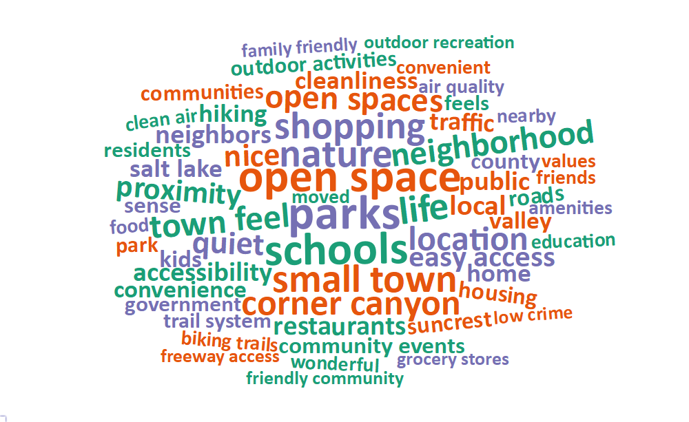 A word cloud of most common words about what respondents value most in their city