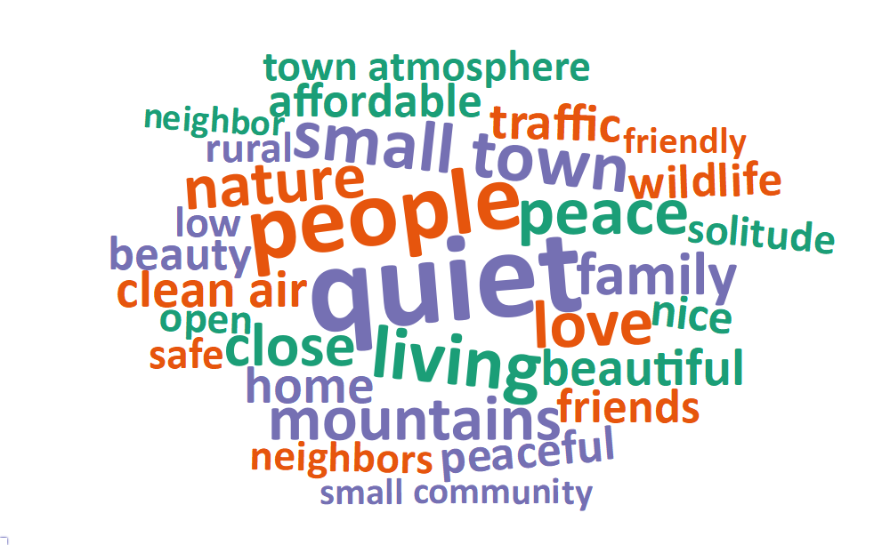A word cloud of most common words about what respondents value most in their city