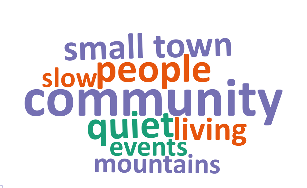 A word cloud of most common words about what respondents value most in their city
