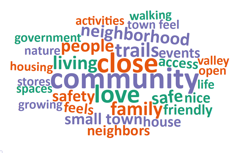 A word cloud of most common words about what respondents value most in their city