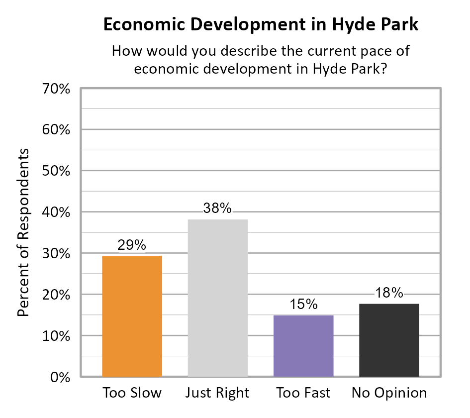 Bar Chart. Title: Economic Development in Hyde Park. Subtitle: How would you describe the current pace of economic development in Hyde Park? Data — Too Slow: 29% of respondents; Just Right: 38% of respondents; Too Fast: 15% of respondents; No Opinion: 18% of respondents