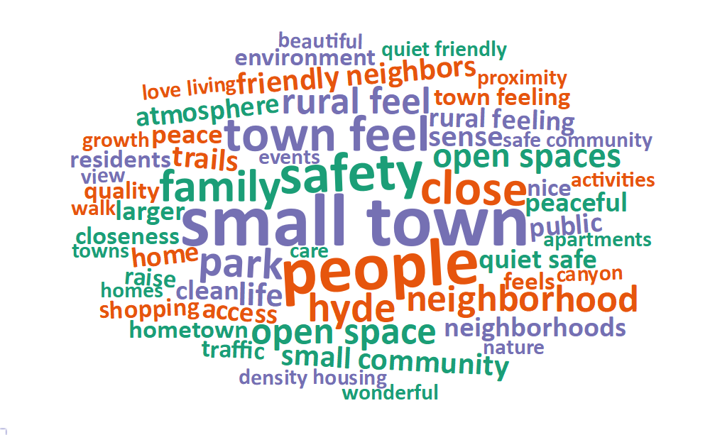 A word cloud of most common words about what respondents value most in their city