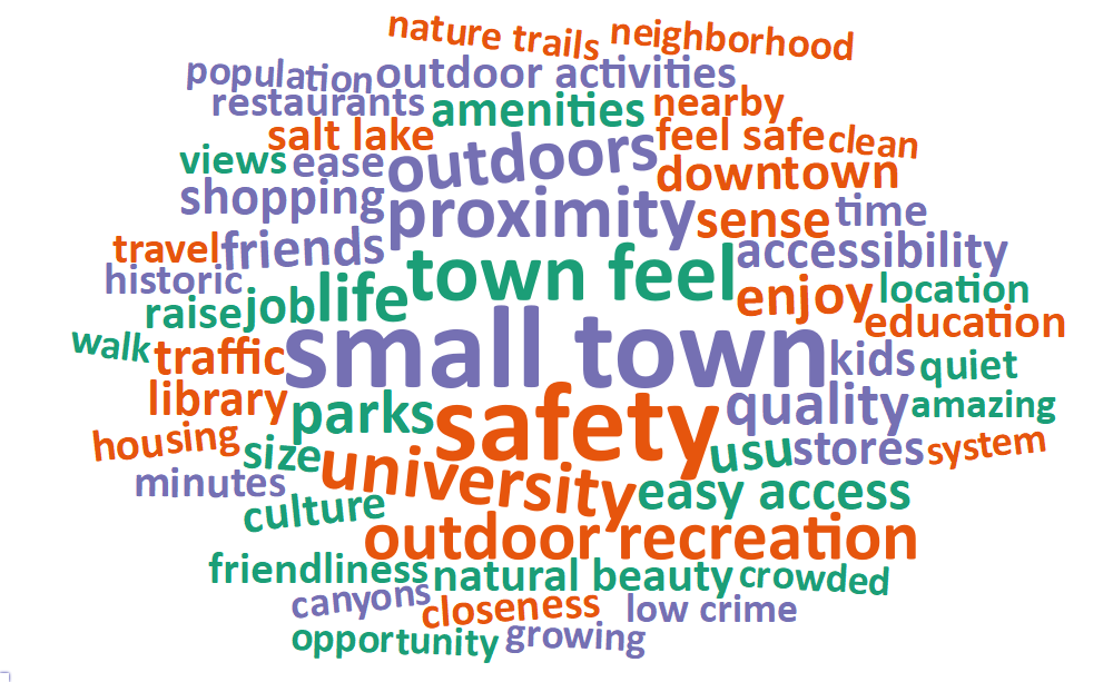 A word cloud of most common words about what respondents value most in their city