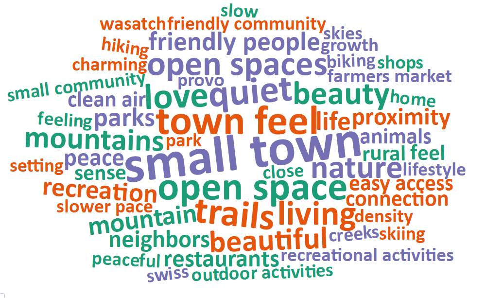 A word cloud of most common words about what respondents value most in their city