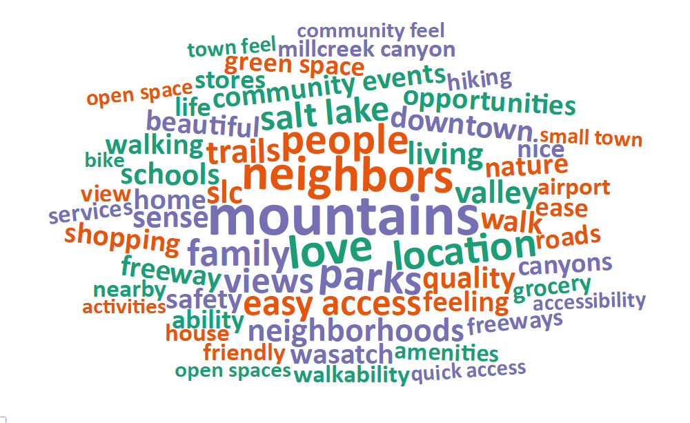 A word cloud of most common words about what respondents value most in their city