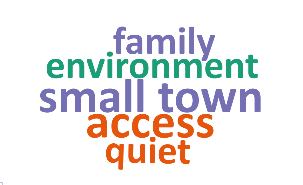 A word cloud of most common words about what respondents value most in their city