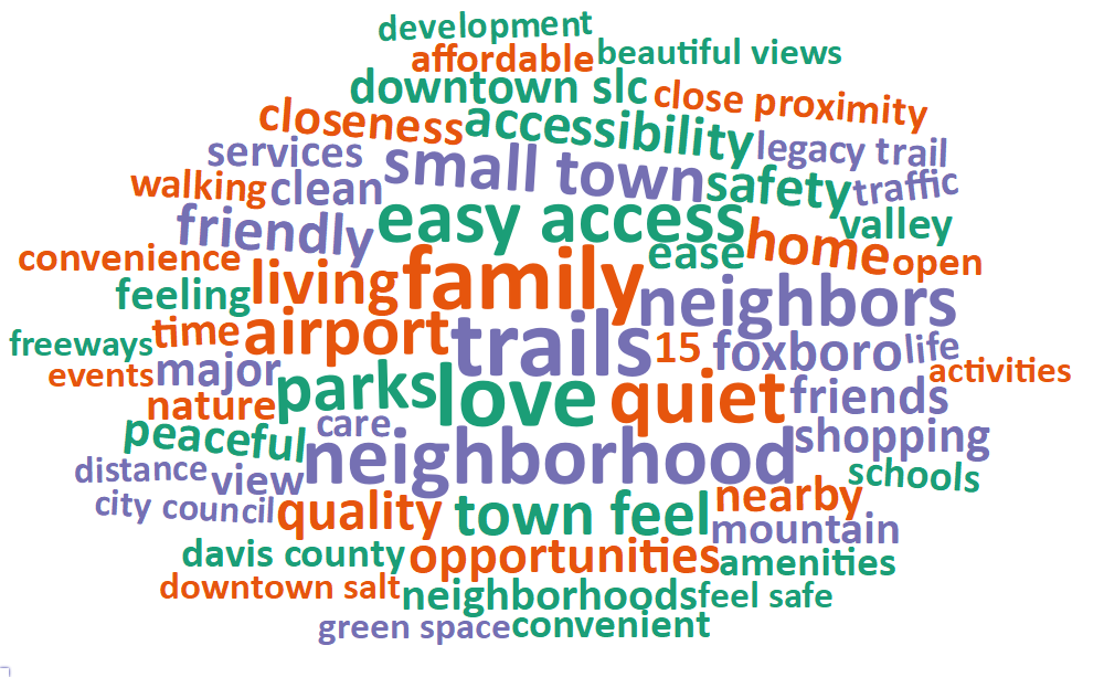 A word cloud of most common words about what respondents value most in their city