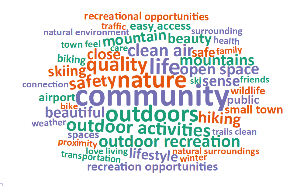 A word cloud of most common words about what respondents value most in their city