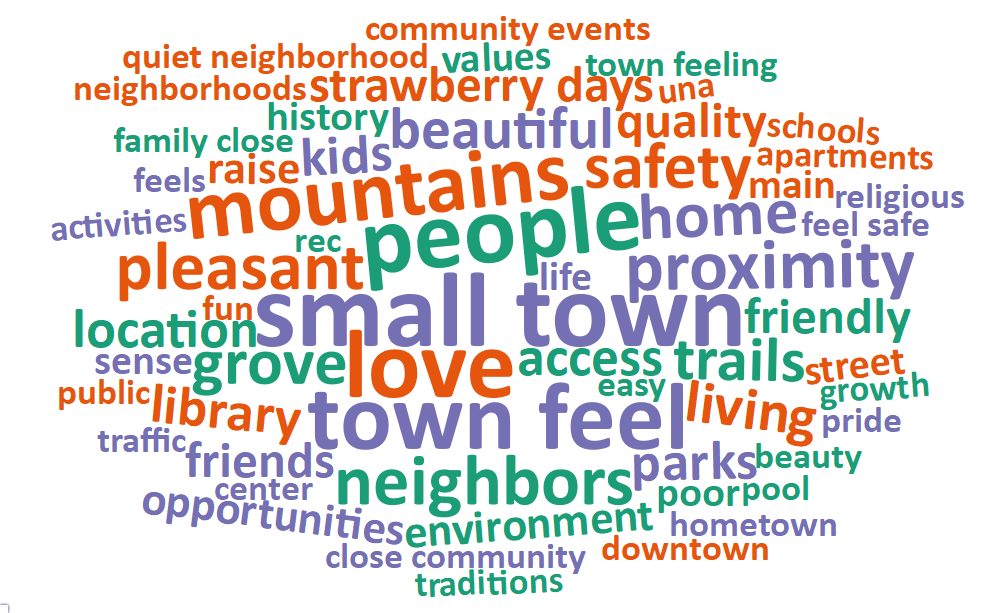 A word cloud of most common words about what respondents value most in their city