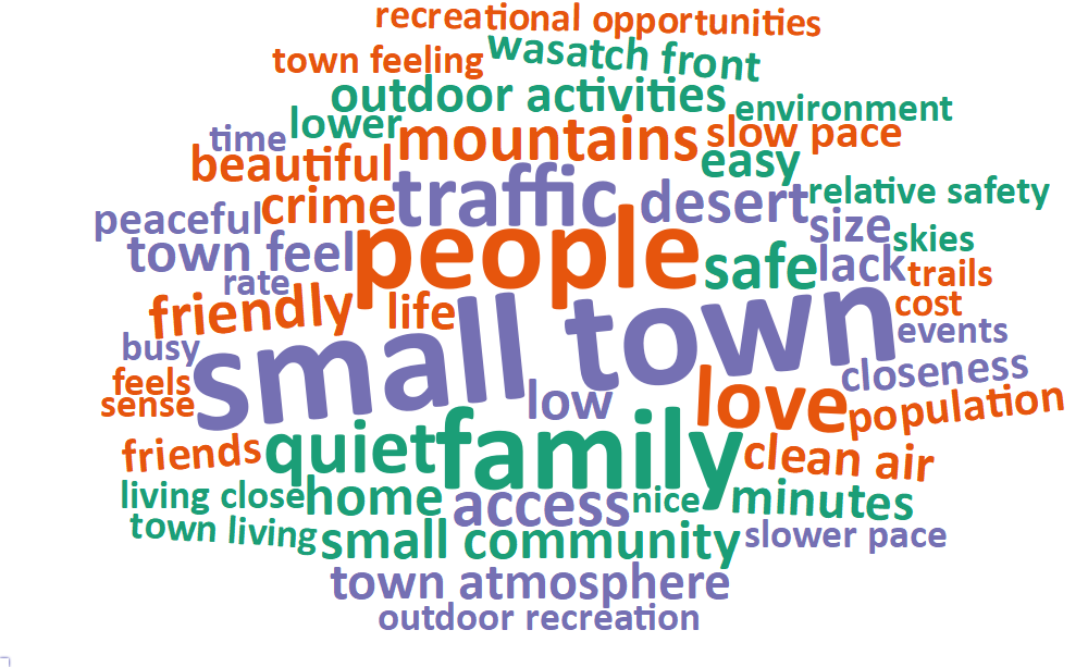 A word cloud of most common words about what respondents value most in their city
