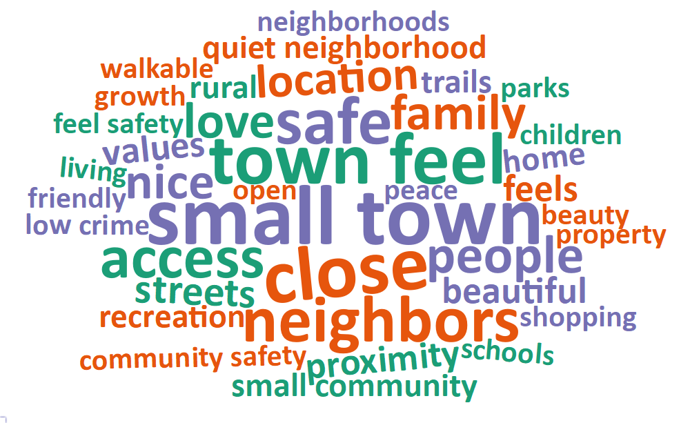 A word cloud of most common words about what respondents value most in their city