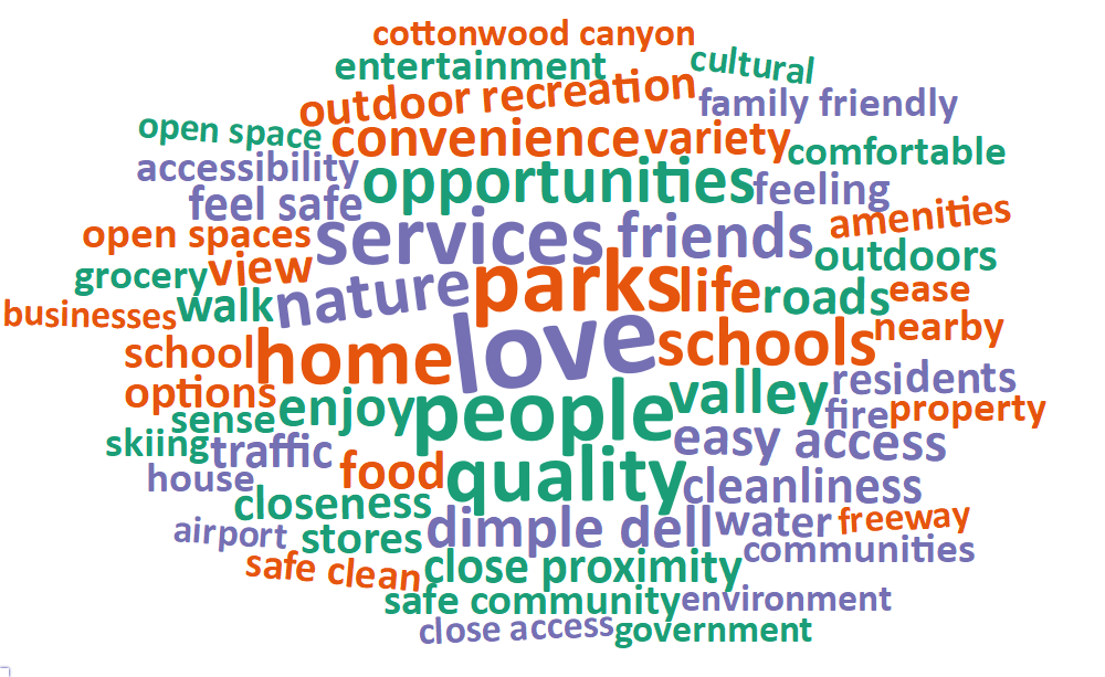 A word cloud of most common words about what respondents value most in their city
