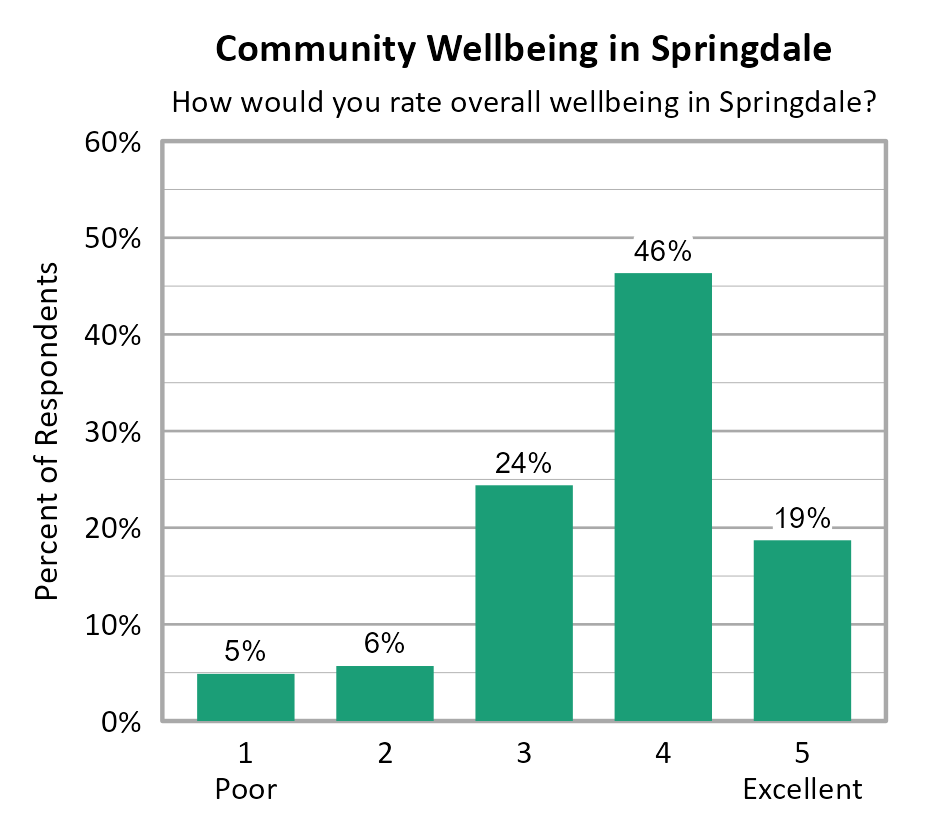 Bar Chart. Title: Community Wellbeing in Springdale. Subtitle: How would you rate overall wellbeing in Springdale? Data — 1 Poor: 5% of respondents; 2: 6% of respondents; 3: 24% of respondents; 4: 46% of respondents; 5 Excellent: 19% of respondents