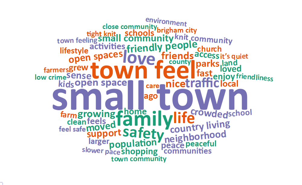 A word cloud of most common words about what respondents value most in their city