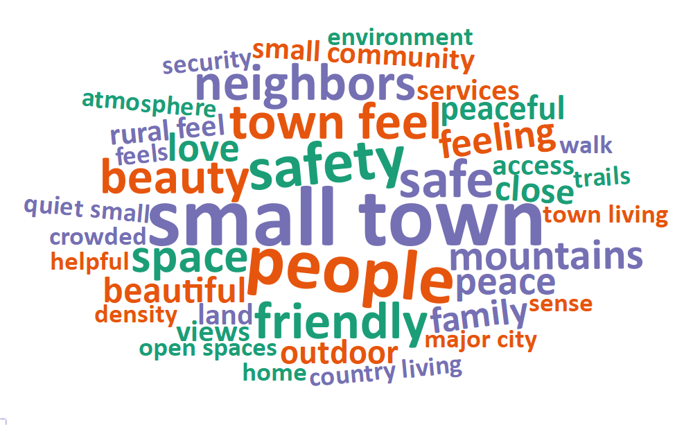 A word cloud of most common words about what respondents value most in their city