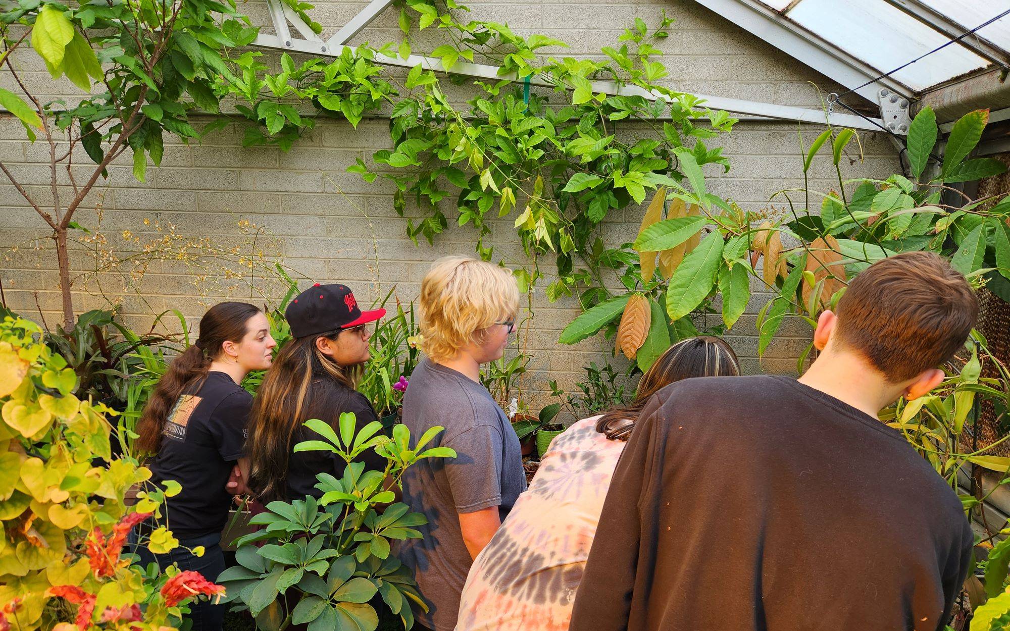 students visiting a greenhouse